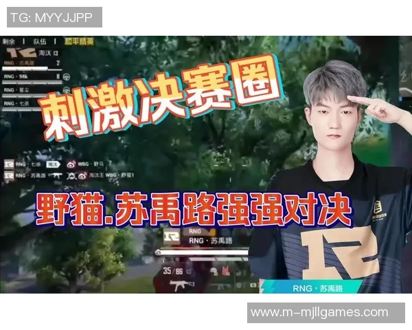 电竞新闻S15LOL赛事中RNG战队心理素质分析与和平精英表现的关联探讨